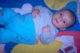20051121a.jpg