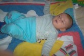 20051121d.jpg