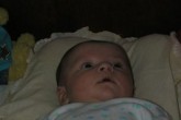 20051208a.jpg