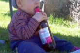 20060615c.jpg