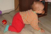 20060702c.jpg