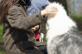 20070503b.jpg
