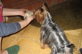 20070526o.jpg