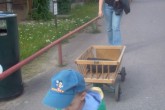 20070719zoo