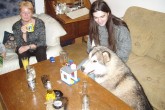 20080215s.jpg
