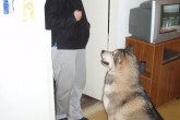 20080215t.jpg