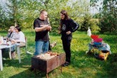 20080517h.jpg