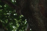 20080824s.jpg