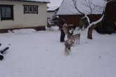 20090123Visit_Khik