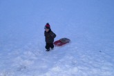 20091225matthiasrobin02.jpg