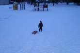 20091225matthiasrobin04.jpg