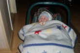 20091225matthiasrobin09.jpg