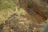 20100821o.JPG