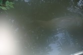 PB210006.JPG