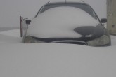 20101225-snow
