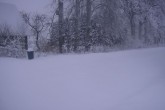 snow6.jpg
