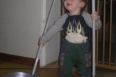 20110101robin-walking6.jpg