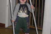 20110101robin-walking7.jpg
