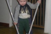 20110101robin-walking8.jpg