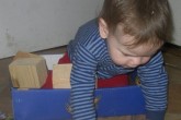 20110125robinm-ngib.jpg
