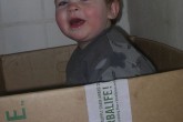 20110225robinkastis2.jpg