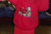 20110307robin1.jpg