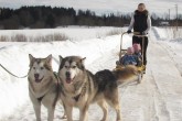 20110315lasteaed5.jpg