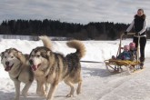 20110315lasteaed7.jpg