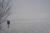 20110325j.jpg
