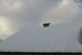 2011103troublekatusel2.jpg