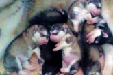 20110401apr04.jpg