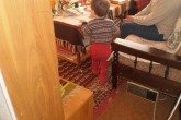 20110411zz04.JPG