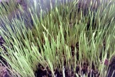 20110430zz01.jpg