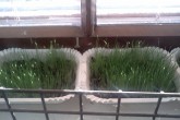 20110501may02.jpg
