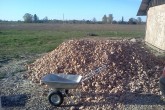 20110507maja01.jpg