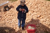 20110507maja02.JPG