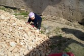 20110507maja04.JPG