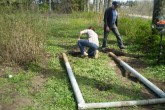20110507maja09.JPG