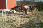 20110507maja34.JPG