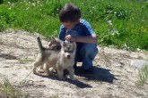 20060604c.jpg