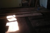 20090402g.JPG