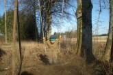 20090402p.JPG