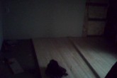 20090712a.jpg